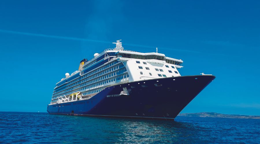 Saga search for cruise partner